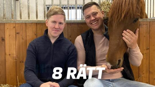 8-ratt