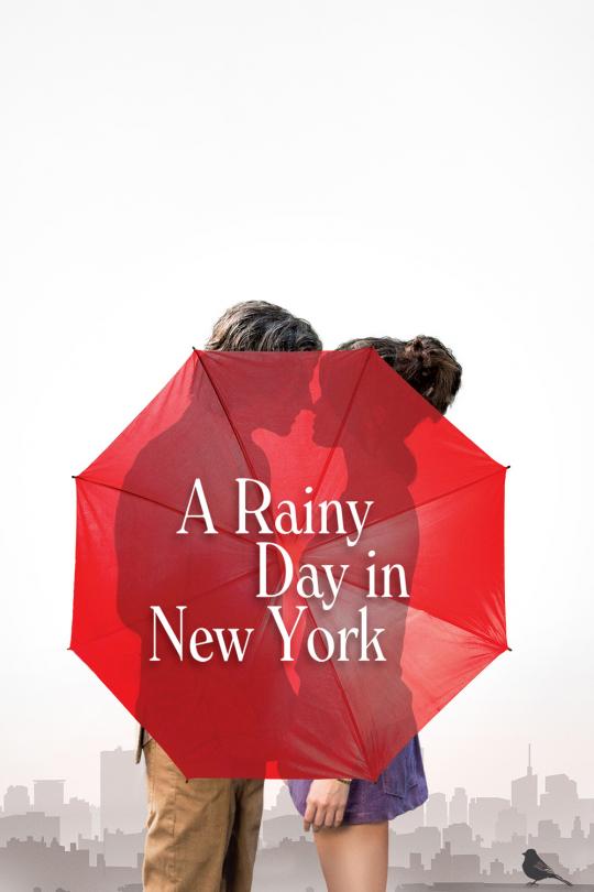 a-rainy-day-in-new-york