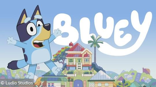 bluey