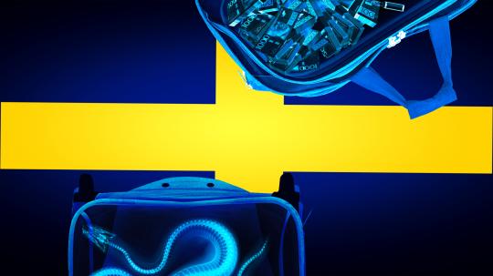border-control-sweden