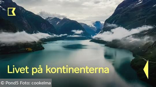 livet-pa-kontinenterna