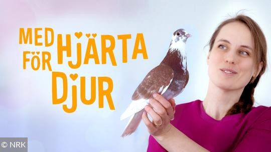 med-hjarta-for-djuren