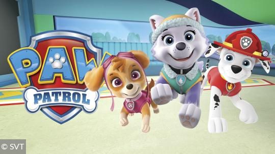 paw-patrol
