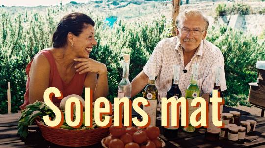 solens-mad