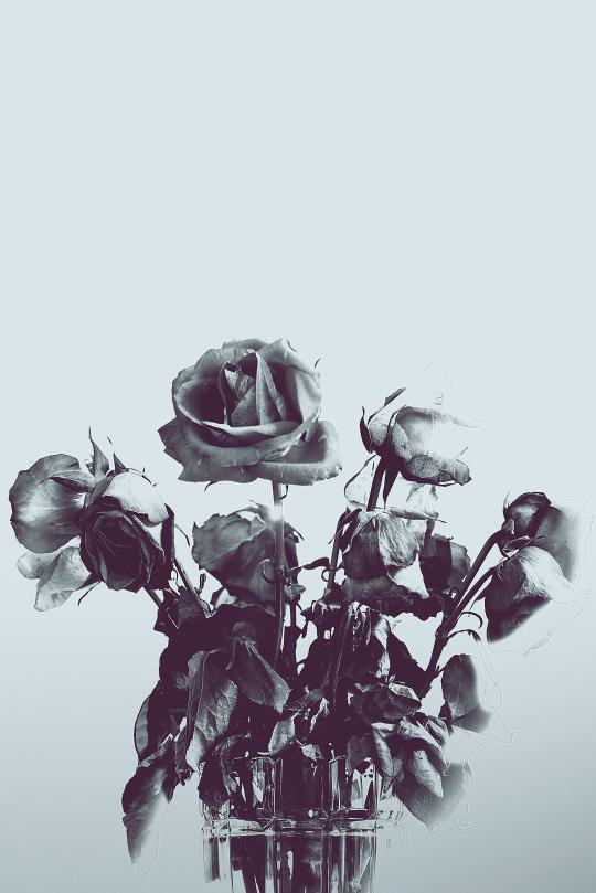 til-death-do-us-part