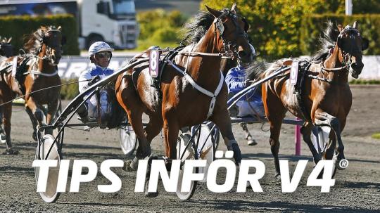 tips-infor-v4