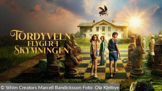 tordyveln-flyger-i-skymningen