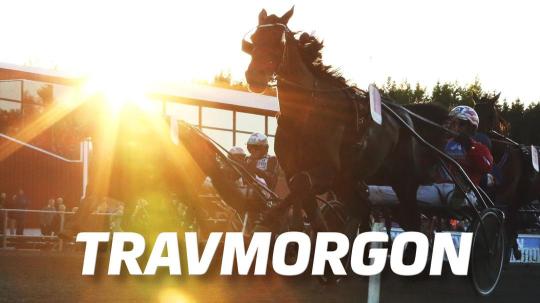 travmorgon