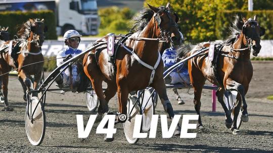 v4-live