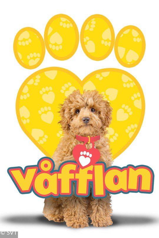 vafflan